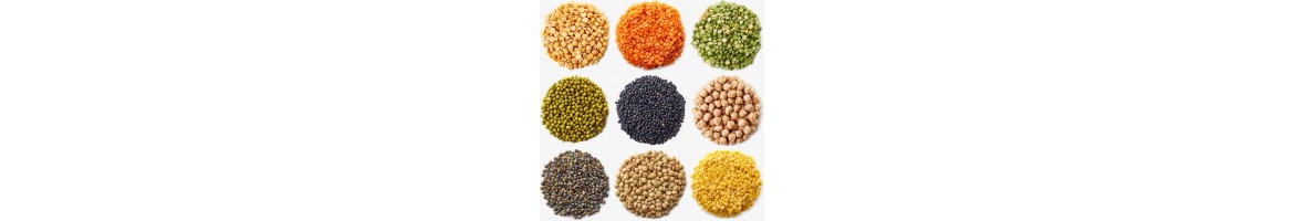 Dal / Beans / Pulses
