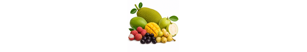 Fruits