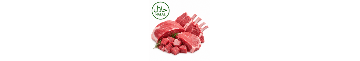 Meat [All HALAL] 