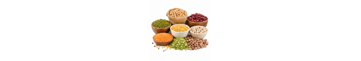 Dal / Beans / Pulses Dal / Beans / Pulses