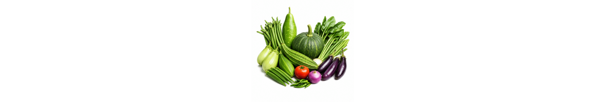 Vegetables Vegetables