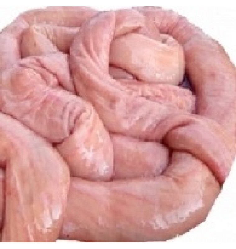 Beef Long Tripe / Intestines (Fresh)  Party Order / Large Scale Order [4250Yen / 10kg]