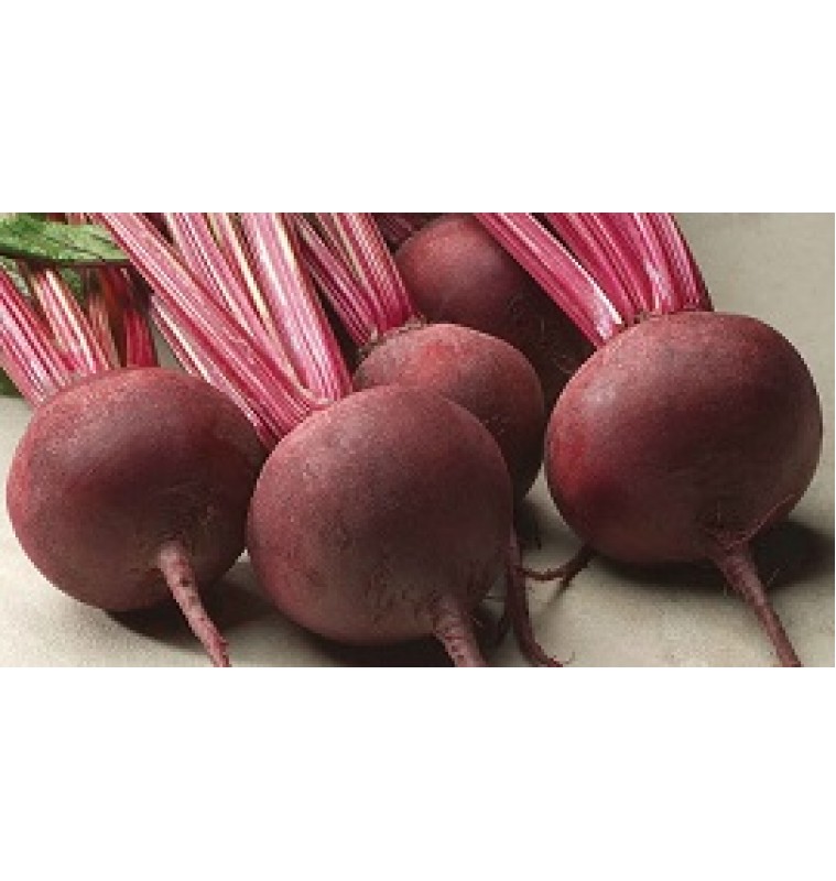 Beet Root / বিটরুট (150-220gm)