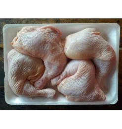 Chicken Leg (Turkey / USA)