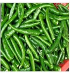 Green Chili / cabe hijau 500gm (BIG)
