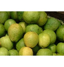 Guava (Fresh) 500gm