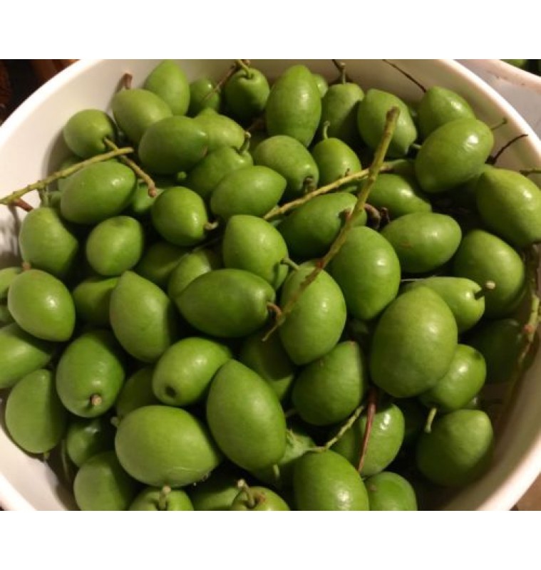 Olive Green / কাঁচা জলপাই (Fresh)
