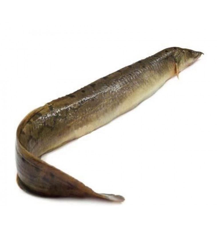 Baim Skinless (Long) Eel 800gm