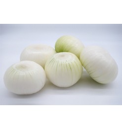 Onion (Peeled) Ready to Use (1000gm) Onion (Peeled) Ready to Use (1000gm)