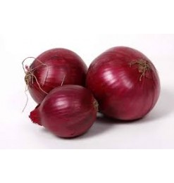 Onion Red (Big) Onion Red (Big)