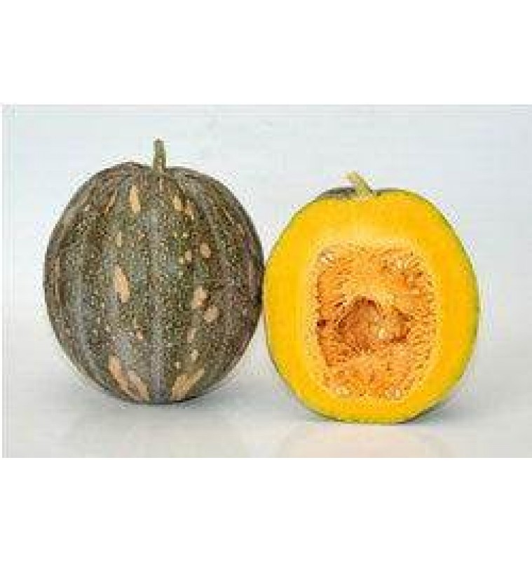 Deshi Yellow Pumpkin / Winter Squash  (Fresh and Ripened)  Deshi Yellow Pumpkin / Winter Squash  (Fresh and Ripened)