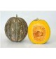 Deshi Yellow Pumpkin / Winter Squash  (Fresh and Ripened)  