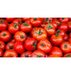 Tomato Red / Yellow 500gm Fresh Tomato Red / Yellow 500gm Fresh