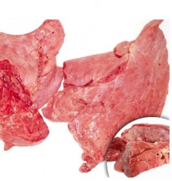 Beef Lungs / Fusfus /paru sapi -3*1 kg