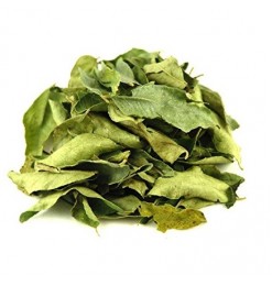Curry Leaf / Pata (Dry) - 50gm