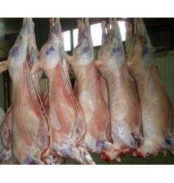Lamb Carcass / Whole Lamb: 12-18 kg (Australia/Argentina) [Price variable depending on weight]
