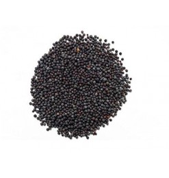 Mustard Seed Whole (Black) 100gm