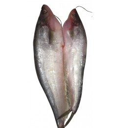 Pabda Fish (Cleaned) (small) 250gm