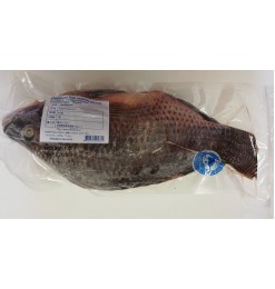 Telapia Fish (Ikan Nila) 700gm